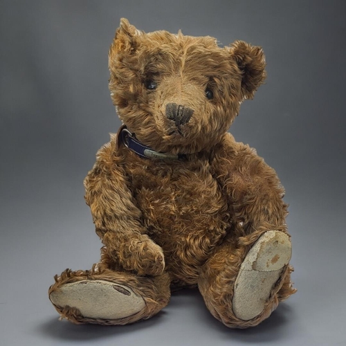 222 - STEIFF, A RARE EARLY 20TH CENTURY 'CINNAMON' TEDDY BEAR
Having central seam construction, black butt... 