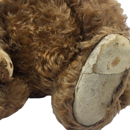 222 - STEIFF, A RARE EARLY 20TH CENTURY 'CINNAMON' TEDDY BEAR
Having central seam construction, black butt... 