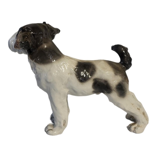 352 - A FRENCH HARD PASTE PORCELAIN MODEL OF A TERRIER DOG, CIRCA 1930 - 1950
In standing position, moulde... 