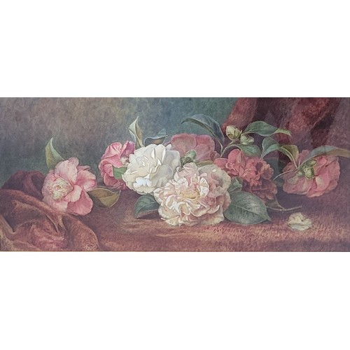 613A - A 19TH CENTURY WATERCOLOUR, STILL LIFE, ROSES
Indistinctly signed lower right ‘S. Moinly’?, framed a... 