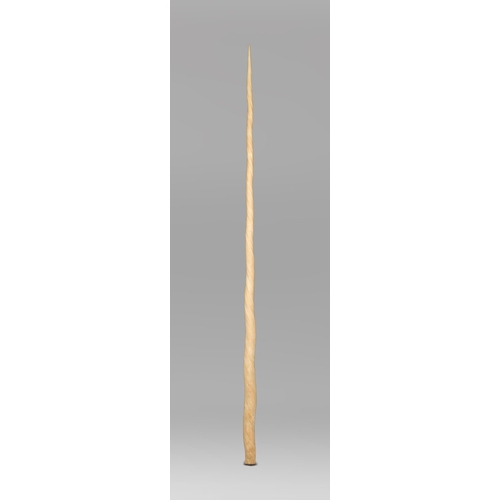 195 - A LARGE AND IMPRESSIVE 19TH CENTURY NARWHAL TUSK (MONODON MONOCEROS).
Length 242cm. With CITES A10 (... 