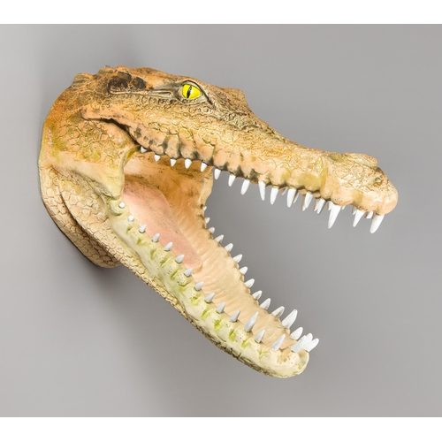 214 - A LARGE LATE 20TH CENTURY CROCODILE HEAD.
Wall mount, composite.
(67cm x 32cm x 72cm)