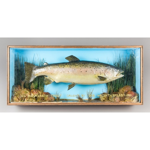 229 - A LATE 20TH CENTURY TAXIDERMY RAINBOW TROUT IN A GLAZED CASE WITH A NATURALISTIC SETTING (ONCORHYNCH... 