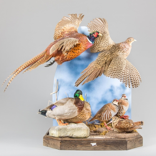 273 - AN IMPRESSIVE LATE 20TH CENTURY TAXIDERMY DIORAMA OF BRITISH GAME BIRDS.
(h 99cm x w 94cm x d 58cm)