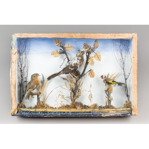 305 - A LATE 19TH CENTURY TAXIDERMY DIORAMA OF BIRDS IN A GLAZED CASE WITH A NATURALISTIC SETTING.
Compris... 