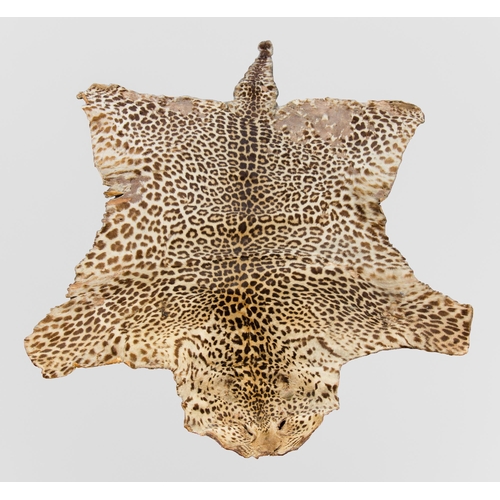 310 - A LATE 19TH/EARLY 20TH CENTURY TAXIDERMY LEOPARD SKIN RUG (PANTHERA PARDUS).