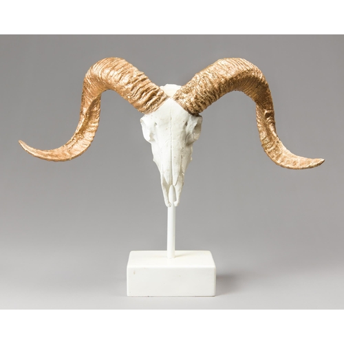 314 - A MODERN GOLDEN RAM HORN WITH SKULL ART PIECE (OVIS ARIES).
Mounted upon an iron base.
(h 43cm x w 5... 