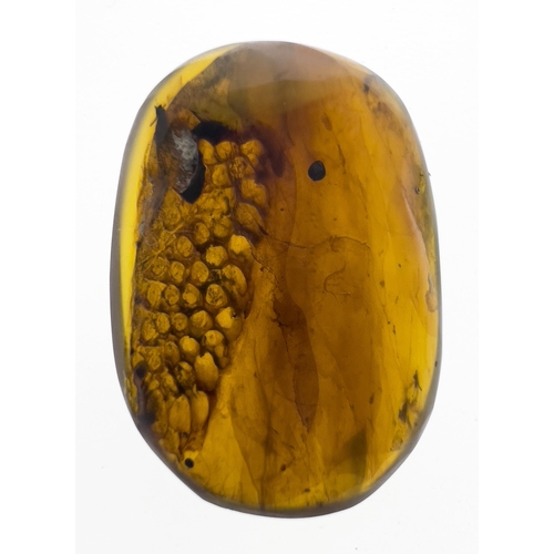 382 - DINOSAUR SKIN IN CRETACEOUS BURMESE AMBER MYANMAR FOSSIL. 
(1.37g, 2.4cm). 90-105 Million years old ... 