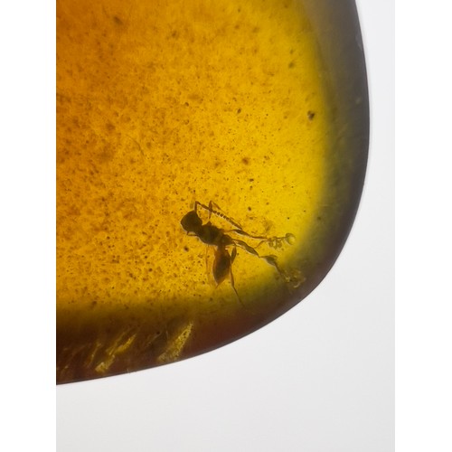 384 - A DINOSAUR AGE SCORPION, TWO MOSQUITOES AND ONE WASP IN CRETACEOUS BURMESE AMBER MYANMAR FOSSIL. 
(2... 