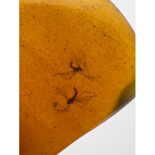 384 - A DINOSAUR AGE SCORPION, TWO MOSQUITOES AND ONE WASP IN CRETACEOUS BURMESE AMBER MYANMAR FOSSIL. 
(2... 