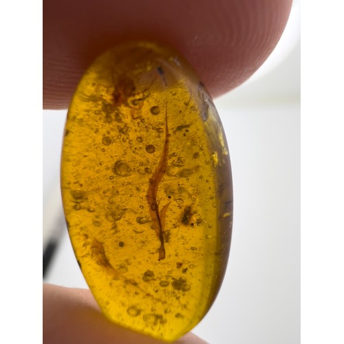 387 - A DINOSAUR FEATHER IN CRETACEOUS BURMESE AMBER MYANMAR FOSSIL. 
(0.82g, 2.1cm). 90-105 Million years... 