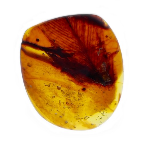 388 - A DINOSAUR FEATHER IN CRETACEOUS BURMESE AMBER MYANMAR FOSSIL. 
(0.64g, 2cm). 90-105 Million years o... 