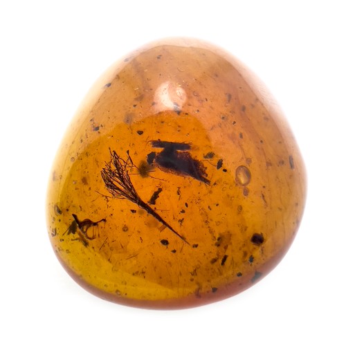 389 - A DINOSAUR AGE ANIMAL HAIR IN CRETACEOUS BURMESE AMBER MYANMAR FOSSIL. 
(1.66g, 2.1cm). 90-105 Milli... 