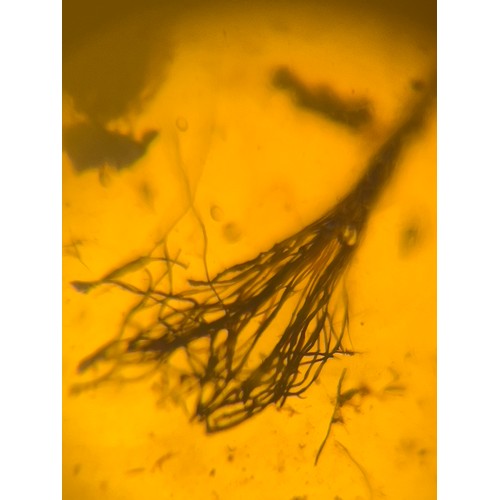 389 - A DINOSAUR AGE ANIMAL HAIR IN CRETACEOUS BURMESE AMBER MYANMAR FOSSIL. 
(1.66g, 2.1cm). 90-105 Milli... 