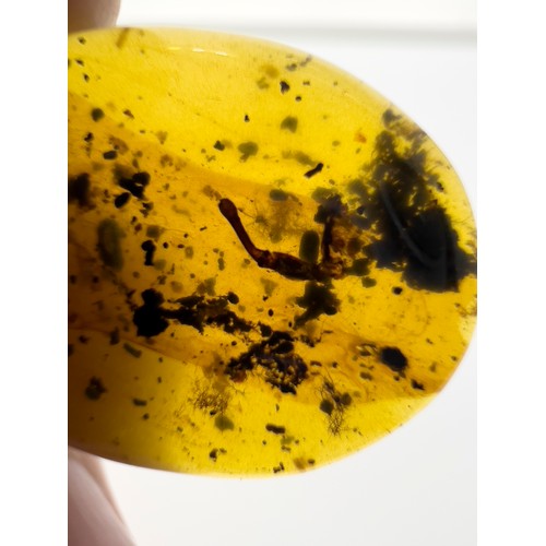 390 - DINOSAUR AGE BONE AND SKIN IN CRETACEOUS BURMESE AMBER MYANMAR FOSSIL. 
(1.12g, 2.7cm). 90-105 Milli... 