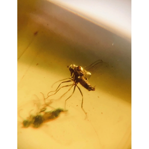 376A - THREE DINOSAUR AGE DIPTERA FLYS IN CRETACEOUS BURMESE AMBER MYANMAR FOSSIL. 
(0.75g). 90-105 Million... 