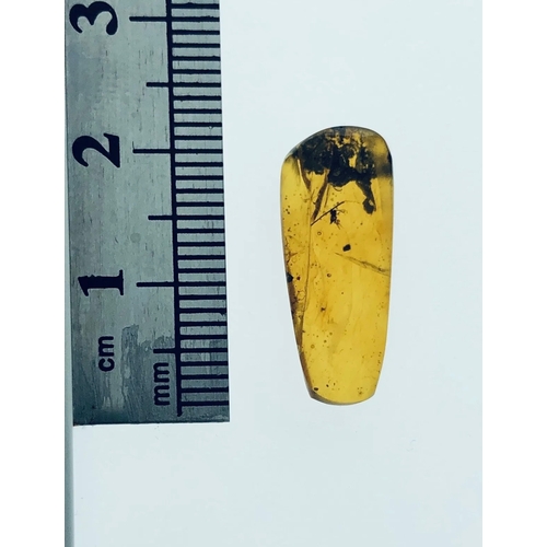 378A - A DINOSAUR AGE MOSQUITO IN CRETACEOUS BURMESE AMBER MYANMAR FOSSIL. 
(0.48g). 90-105 Million years o... 