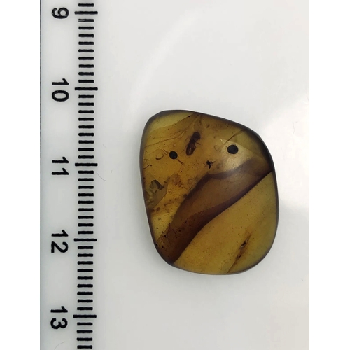 383A - A DINOSAUR AGE BEETLE AND MOSQUITO IN CRETACEOUS BURMESE AMBER MYANMAR FOSSIL.
(1.55g). 90-105 Milli... 