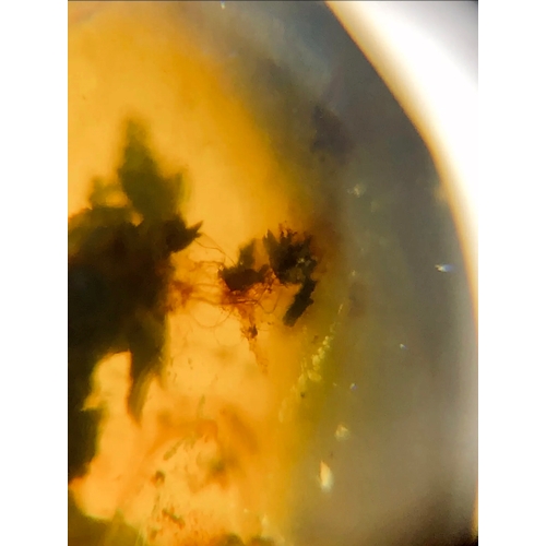 390A - A DINOSAUR AGE HAIR AND MOSQUITO IN CRETACEOUS BURMESE AMBER MYANMAR FOSSIL.
(1.19g). 90-105 Million... 