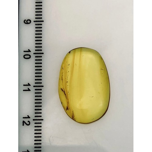 386A - TWO DINOSAUR AGE FLYS IN CRETACEOUS BURMESE AMBER MYANMAR FOSSIL.
(0.51g). 90-105 Million years old ... 