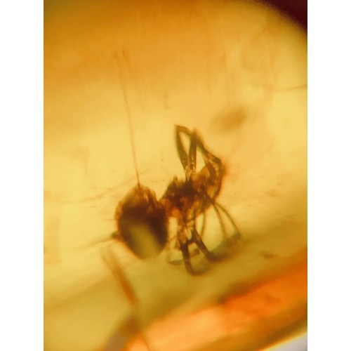 379A - A DINOSAUR AGE SPIDER AND FOUR INSECTS IN CRETACEOUS BURMESE AMBER MYANMAR FOSSIL.
(0.51g). 90-105 M... 