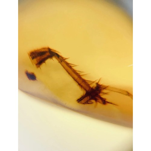 379A - A DINOSAUR AGE SPIDER AND FOUR INSECTS IN CRETACEOUS BURMESE AMBER MYANMAR FOSSIL.
(0.51g). 90-105 M... 