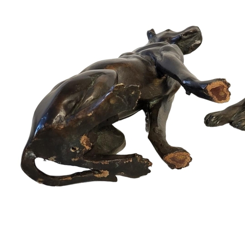 223 - AN EARLY 20TH CENTURY CONTINENTAL PATINATED BRONZE MODEL OF A DOBERMAN PINCHER DOG
In recumbent pose... 