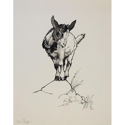 432 - KAY NIXON, BRITISH, 1895 - 1988, WASHED MONOCHROME
A collection of eight studies of farm animals and... 