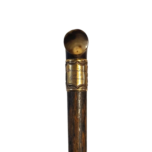 66 - SIR DUNCAN HILSTON M.D BERMUDA, A VICTORIAN HORN HANDLED WALKING CANE
Having an engraved yellow meta... 