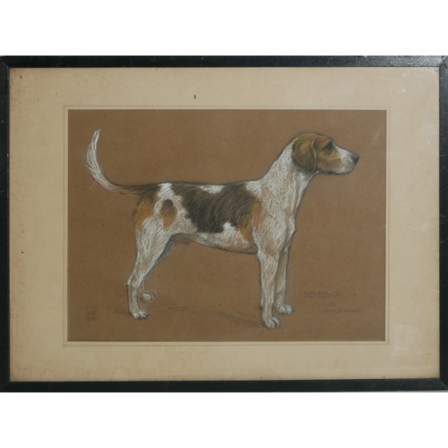 447 - AN EARLY 20TH CENTURY PASTEL DOG STUDY, HUNTING BEAGLE IN STANDING POSE
Titled 'Hemlock, South Oxfor... 