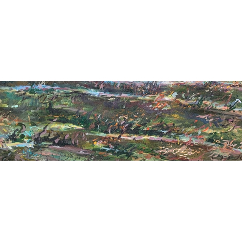 474 - SHAHRAM KARIMI, BN 1957, A LARGE IRANIAN OIL ON CANVAS 
Landscape, battle scene, large gun and burni... 