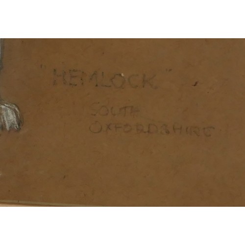 447 - AN EARLY 20TH CENTURY PASTEL DOG STUDY, HUNTING BEAGLE IN STANDING POSE
Titled 'Hemlock, South Oxfor... 