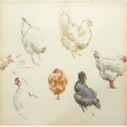 454 - HELEN ALLINGHAM, BRITISH, 1848 - 1926, WATERCOLOUR
Studies of chickens, framed and glazed.
(15.5cm x... 