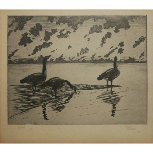 469 - RICHARD E BISHOP, BN 1887, A BLACK AND WHITE ETCHING 
Titled ‘Daybreak’, three Canada geese near a r... 