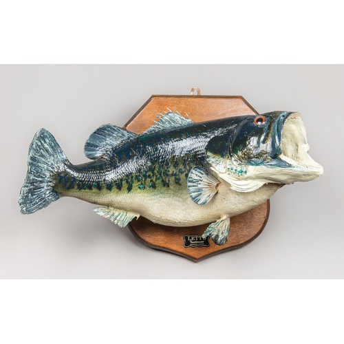 197 - A TAXIDERMY LARGEMOUTH BASS WALL HANGING MOUNT (MICROPTERUS NIGRICANS).
(h 30cm x w 55cm x d 25cm)