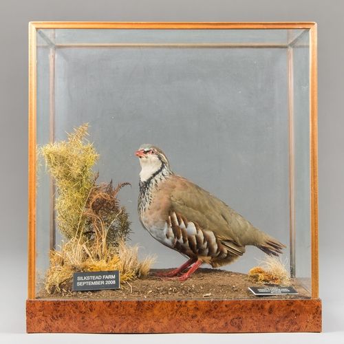 28 - A LATE 20TH CENTURY TAXIDERMY RED-LEGGED PARTRIDGE IN A GLAZED CASE WITH A NATURALISTIC SETTING (ALE... 