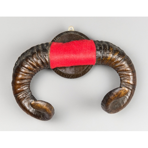 40 - A SET OF MOUNTED RAMS HORNS (OVIS ARIES).
(w 35cm)