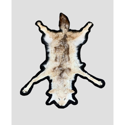 47 - A TAXIDERMY BLACK-BACKED JACKAL SKIN RUG (CANIS MESOMELAS).
(l 127cm x w 87cm)