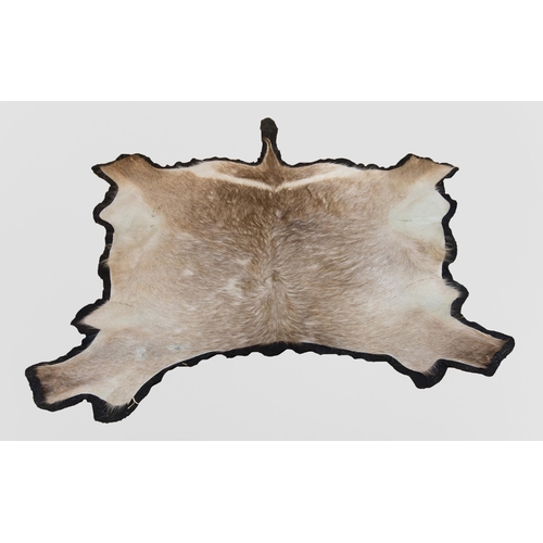 95 - A TAXIDERMY WATERBUCK SKIN RUG (KOBUS ELLIPSIPRYMNUS).
(l 217cm).