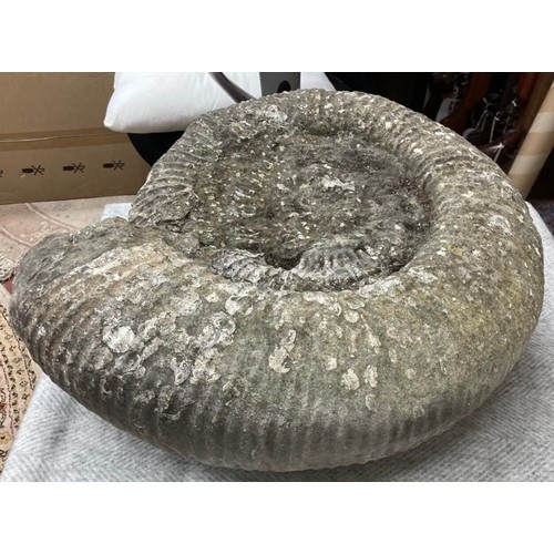 397 - Extra Large Fossil Specimen, Ammonite, 480mm 
Specimen Weight: 40.8kg
A very large ammonite fossil, ... 