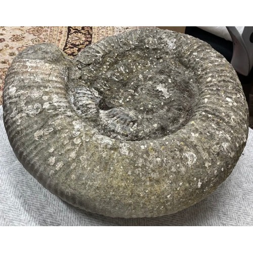 397 - Extra Large Fossil Specimen, Ammonite, 480mm 
Specimen Weight: 40.8kg
A very large ammonite fossil, ... 