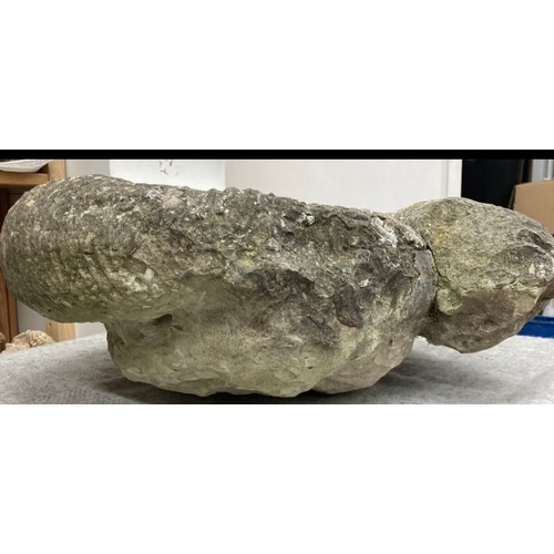 397 - Extra Large Fossil Specimen, Ammonite, 480mm 
Specimen Weight: 40.8kg
A very large ammonite fossil, ... 