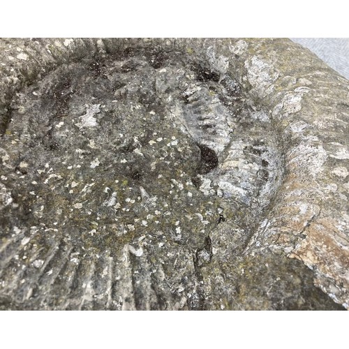 397 - Extra Large Fossil Specimen, Ammonite, 480mm 
Specimen Weight: 40.8kg
A very large ammonite fossil, ... 