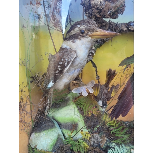 121 - AN IMPRESSIVE LATE 19TH CENTURY TAXIDERMY DIORAMA OF AUSTRALIAN BIRDS BY A. POLLARD OF LONDON.

Set ... 