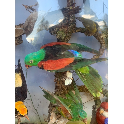 121 - AN IMPRESSIVE LATE 19TH CENTURY TAXIDERMY DIORAMA OF AUSTRALIAN BIRDS BY A. POLLARD OF LONDON.

Set ... 