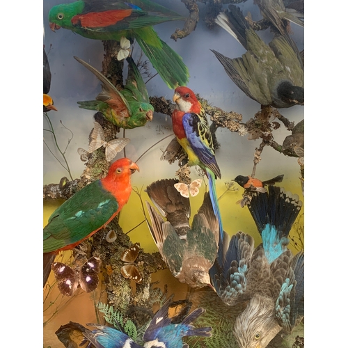 121 - AN IMPRESSIVE LATE 19TH CENTURY TAXIDERMY DIORAMA OF AUSTRALIAN BIRDS BY A. POLLARD OF LONDON.

Set ... 