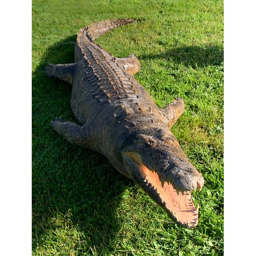 113 - AN 11FT TAXIDERMY NILE CROCODILE WALL MOUNT (CROCODYLUS NILOTICUS).
With fixing plates underneath fo... 