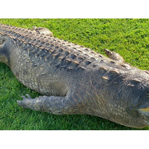 113 - AN 11FT TAXIDERMY NILE CROCODILE WALL MOUNT (CROCODYLUS NILOTICUS).
With fixing plates underneath fo... 