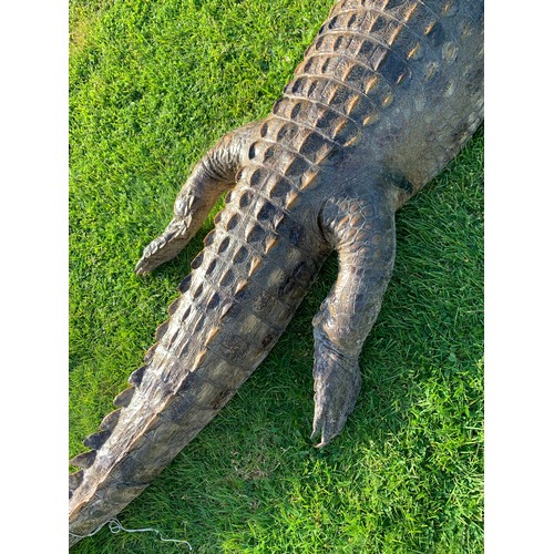 113 - AN 11FT TAXIDERMY NILE CROCODILE WALL MOUNT (CROCODYLUS NILOTICUS).
With fixing plates underneath fo... 