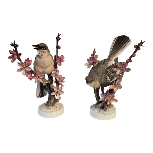 121 - DOROTHY DOUGHTY FOR ROYAL WORCESTER, A PAIR OF RARE MID 20TH CENTURY PORCELAIN MODELS OF MOCKINGBIRD... 